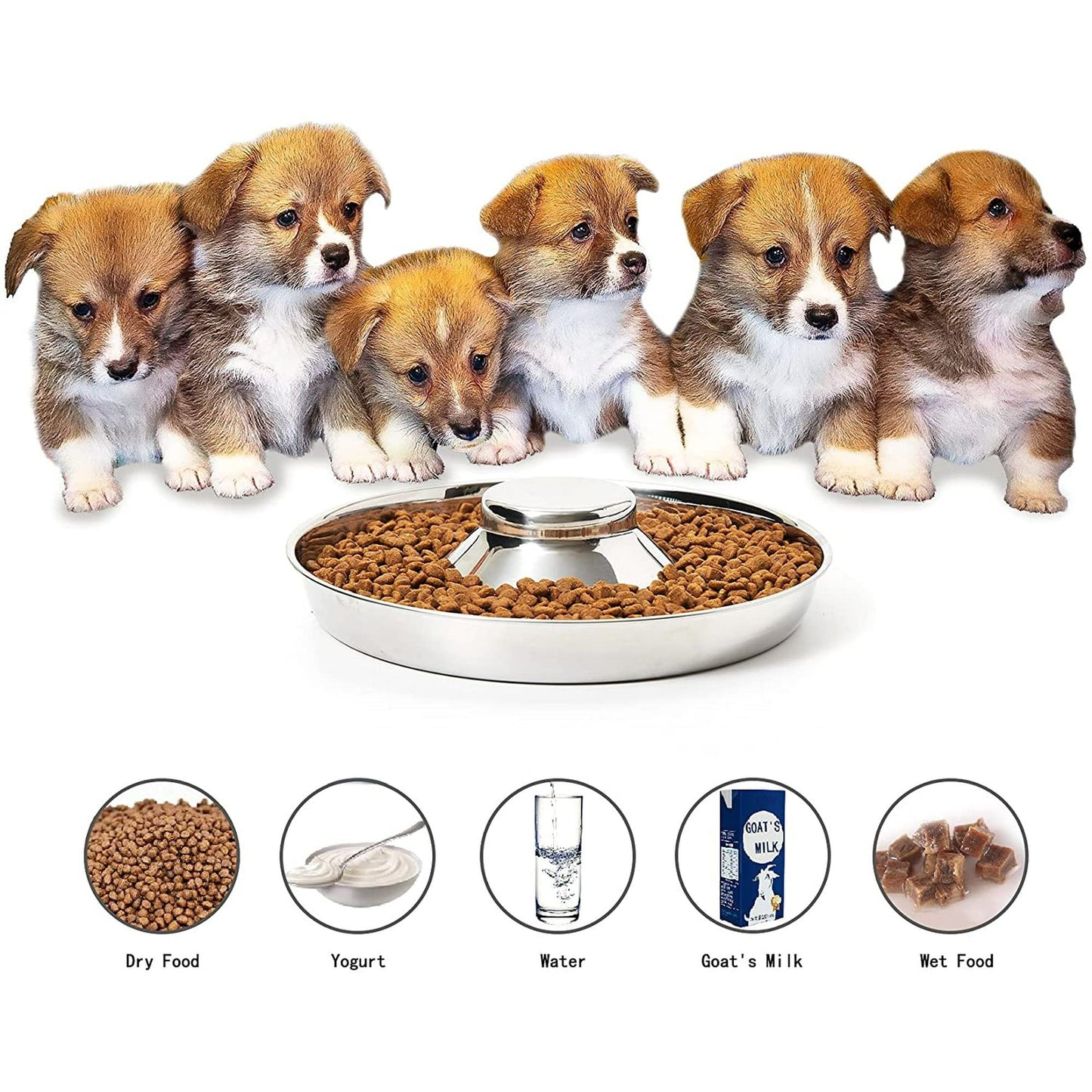 Puppy Feeder Stainless Steel Dog Bowl Food Weaning Small Pets