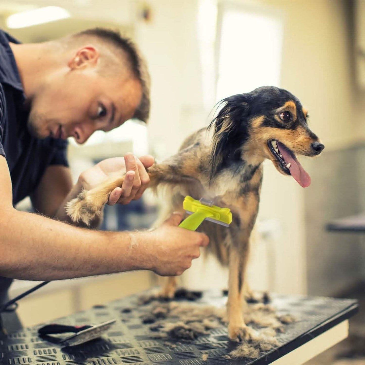 Dog Grooming Brush Comb Pet Hair Remover