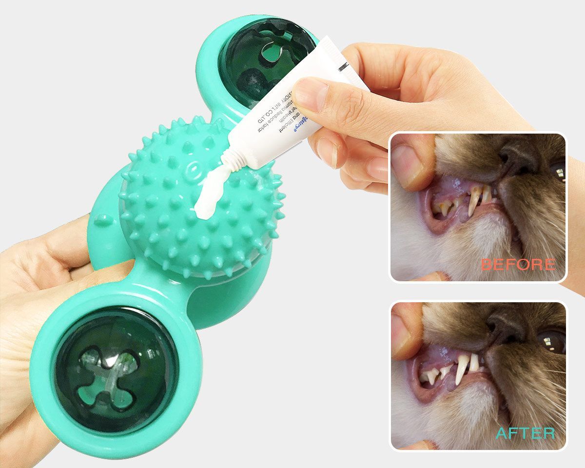 'Windmill' Rotating Suction Cup Spinning Cat Toy
