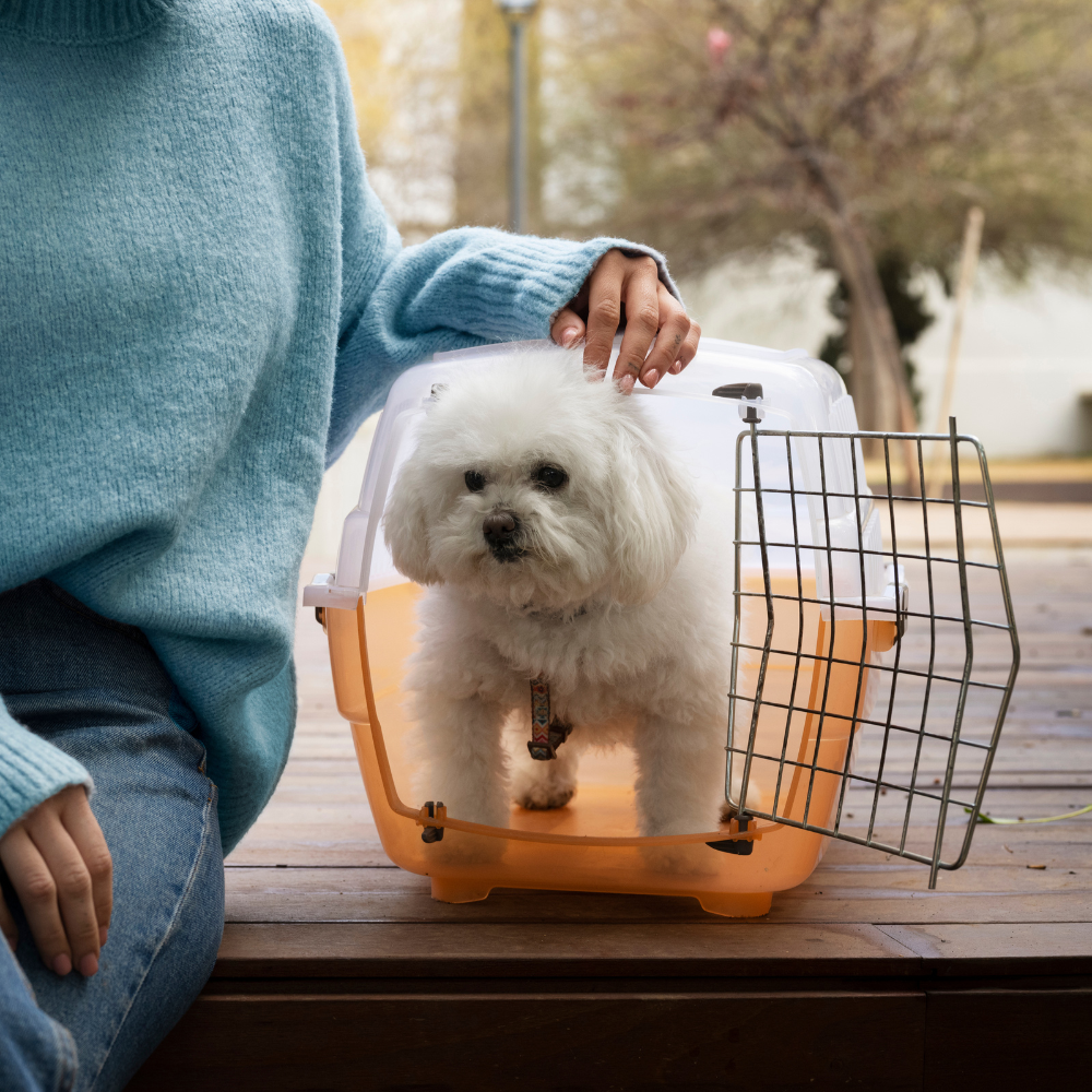 Travel Carriers & Crates