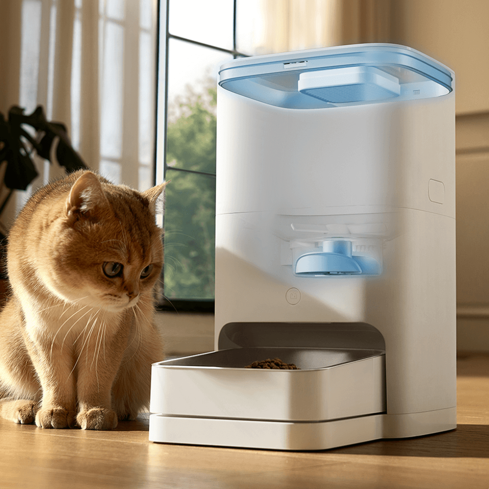 Feeding Bowls & Water Dispensers