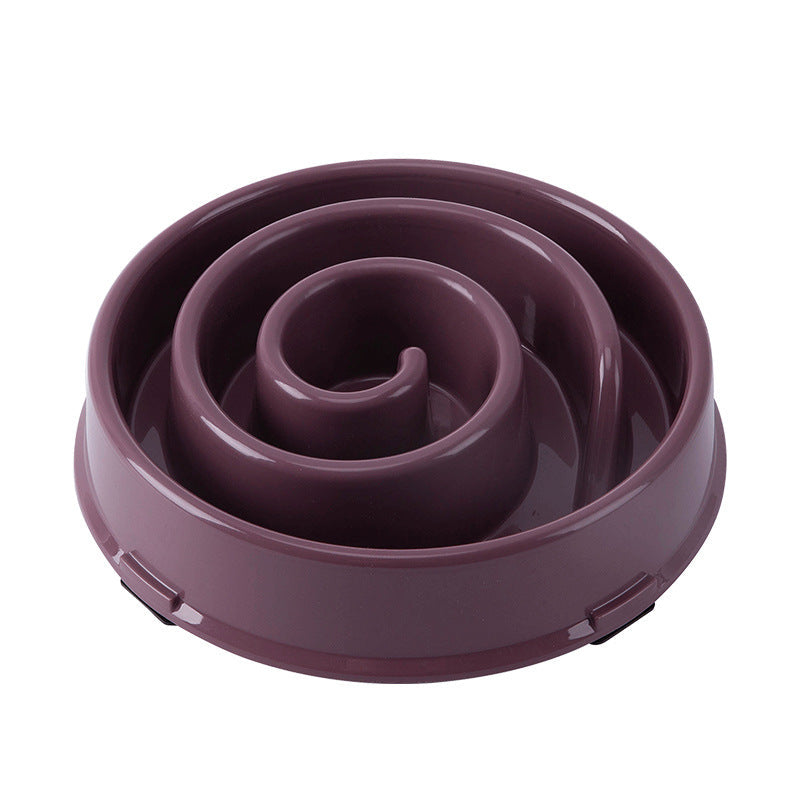 Slow Feeding Bowl for Dogs and Cats Anti-Choking Pet Feeder