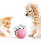 Interactive Pet Treat Dispenser Toy