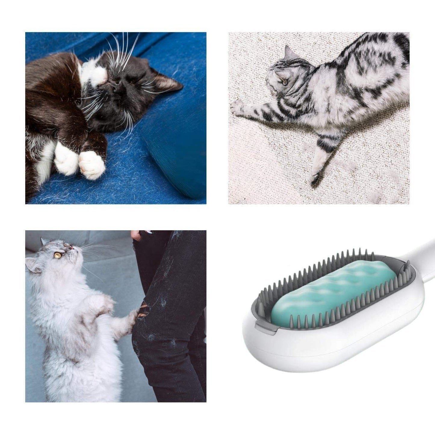 4-in-1 Cat Hair Brush With Water Double-Sided Grooming Comb
