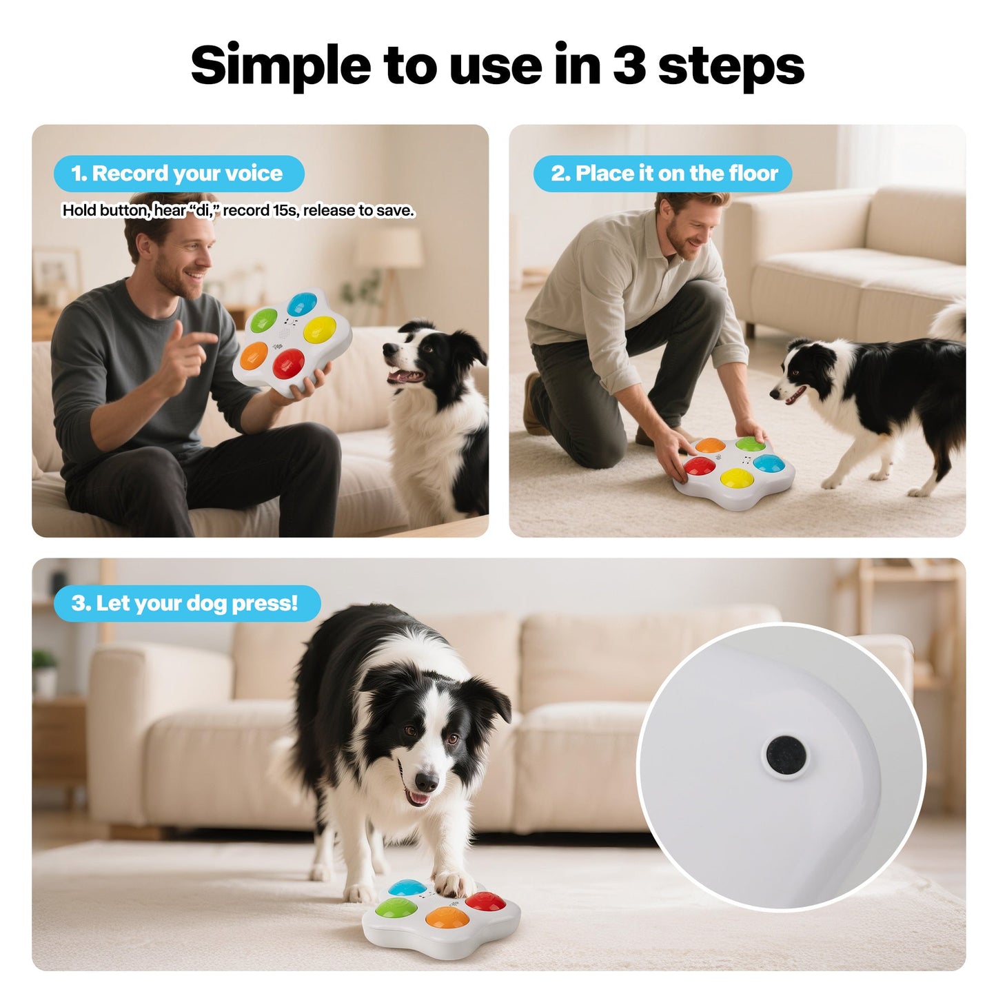 Interactive -Dog Toy - Pet Brain Training buttons