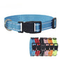 Nylon Dog Collar and Leash Set for All Sizes Dogs