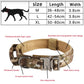 Tactical Nylon Dog Collar with Metal Buckle