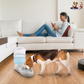 GBruno 3.5L/1Gal Pet Water Dispenser