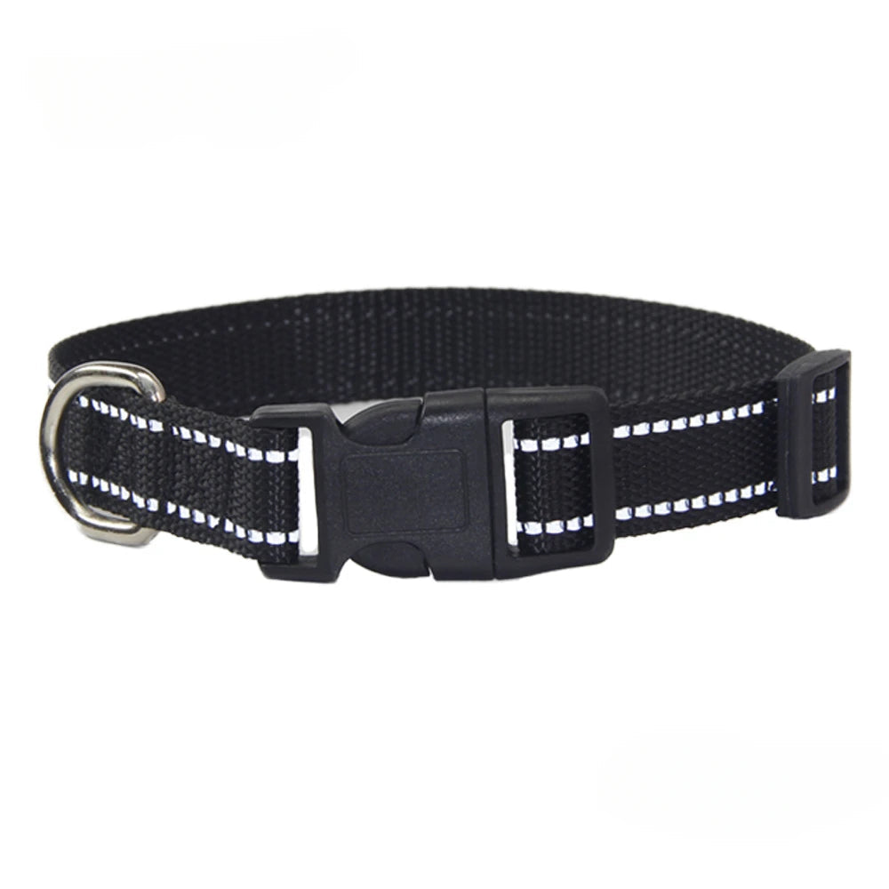 Nylon Dog Collar and Leash Set for All Sizes Dogs