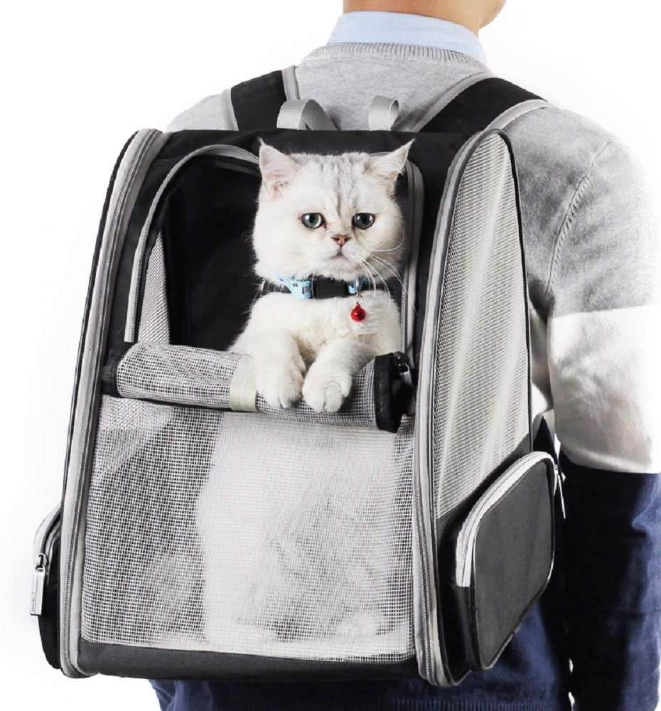 Innovative Traveler Bubble Backpack Pet Carrier for Cats and Dogs