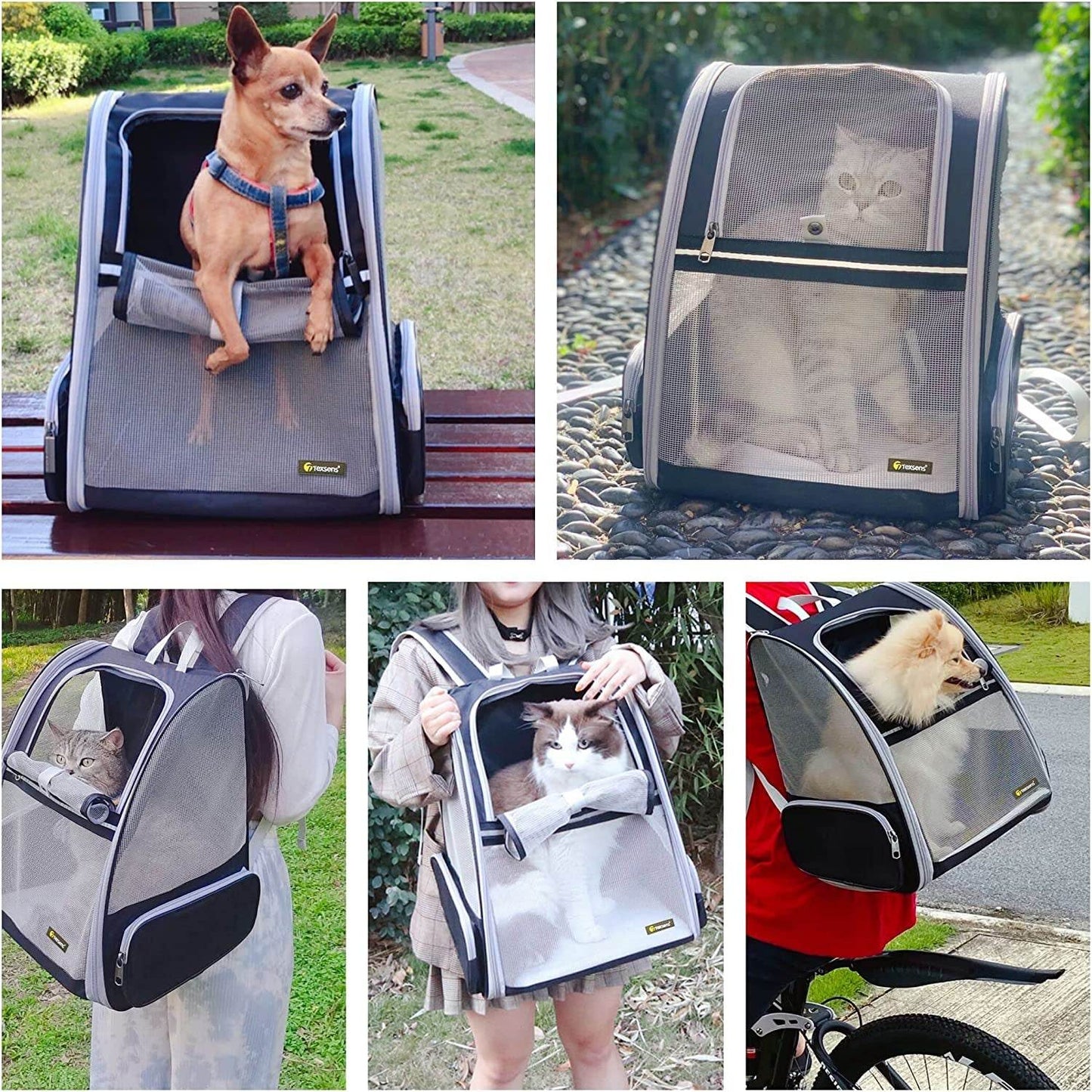 Innovative Traveler Bubble Backpack Pet Carrier for Cats and Dogs