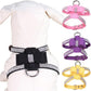 Suede Dog Harness & Leash Set – Rhinestone Bow, Soft & Elegant