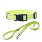 Nylon Dog Collar and Leash Set for All Sizes Dogs