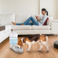 GBruno 3.5L/1Gal Pet Water Dispenser