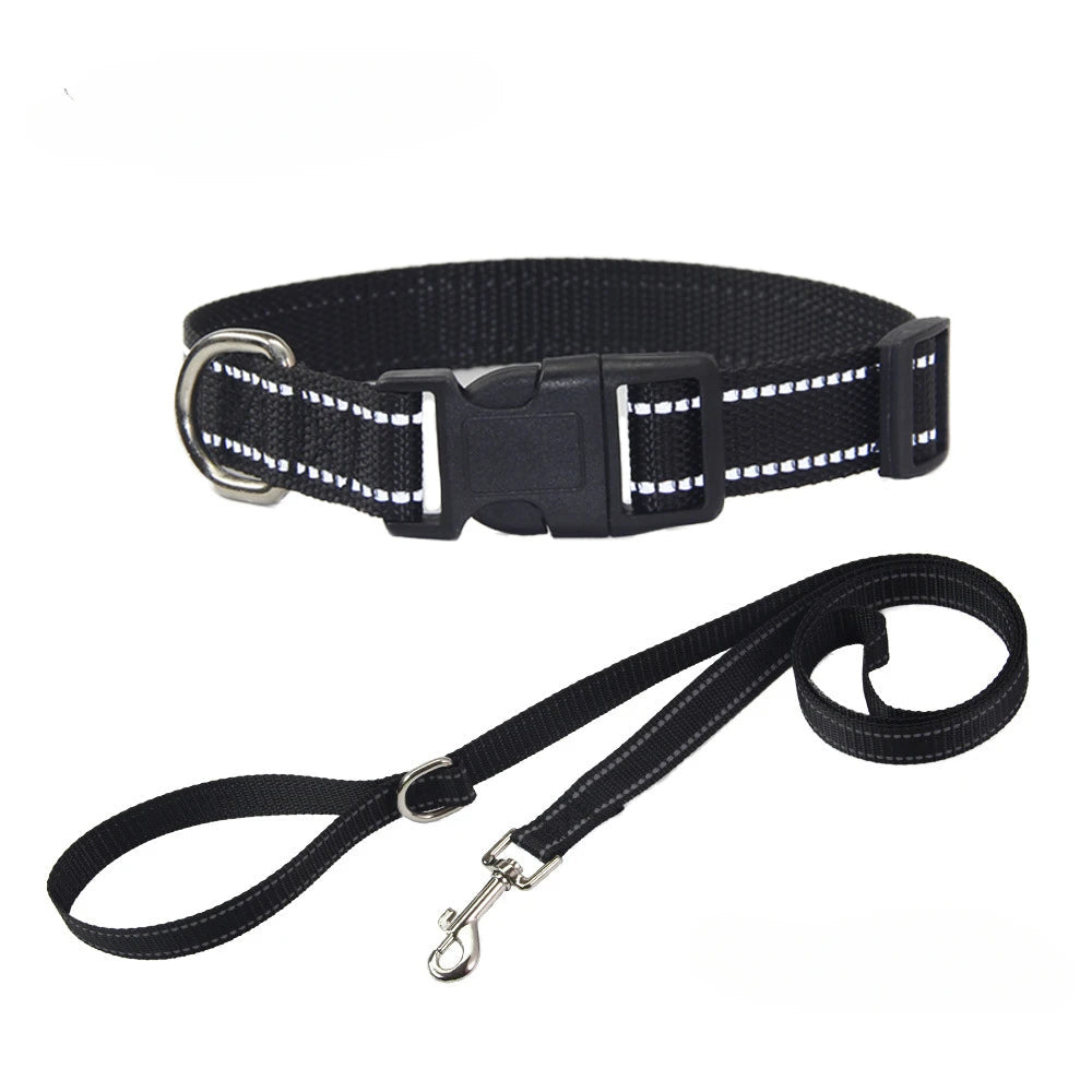 Nylon Dog Collar and Leash Set for All Sizes Dogs