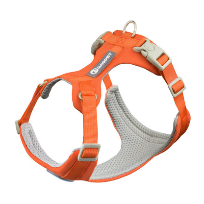 Whippet Anti-Slip Lightweight Dog Harness Breathable Durable Adjustable Vest