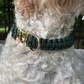 Cobra Braid in Emerald Green - Handmade Dog Collar
