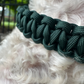 Cobra Braid in Emerald Green - Handmade Dog Collar