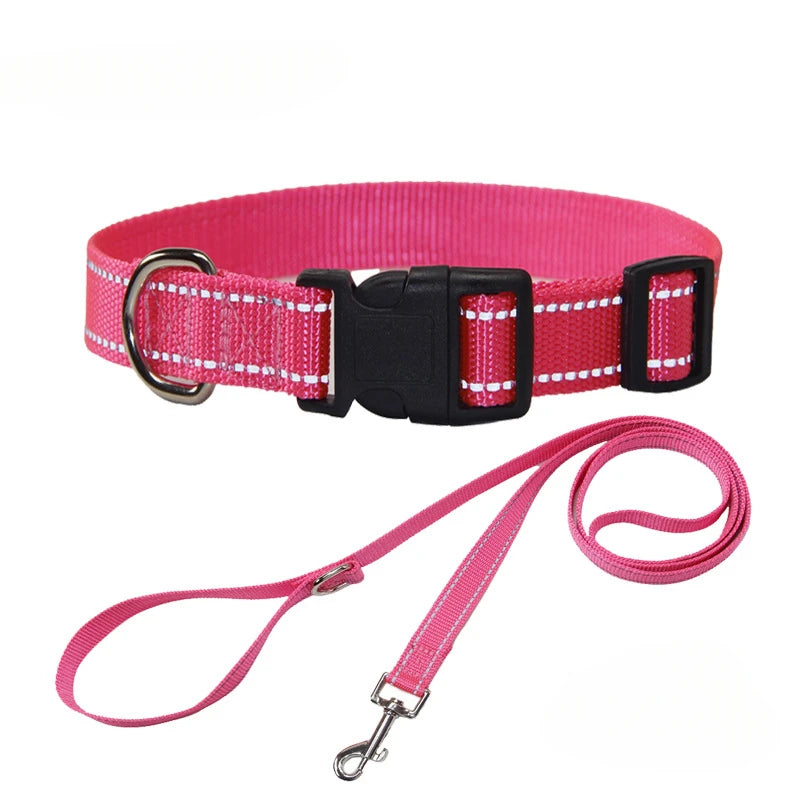 Nylon Dog Collar and Leash Set for All Sizes Dogs