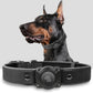 Leather AirTag Dog Collar with Built-In Holder, Reflective Adjustable Design