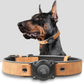 Leather AirTag Dog Collar with Built-In Holder, Reflective Adjustable Design