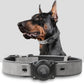 Leather AirTag Dog Collar with Built-In Holder, Reflective Adjustable Design