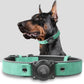 Leather AirTag Dog Collar with Built-In Holder, Reflective Adjustable Design