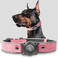 Leather AirTag Dog Collar with Built-In Holder, Reflective Adjustable Design