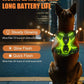Light-Up LED Dog Harness – Rechargeable No-Pull Vest for Night Walking