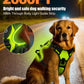 Light-Up LED Dog Harness – Rechargeable No-Pull Vest for Night Walking