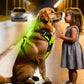 Light-Up LED Dog Harness – Rechargeable No-Pull Vest for Night Walking