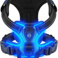 Light-Up LED Dog Harness – Rechargeable No-Pull Vest for Night Walking