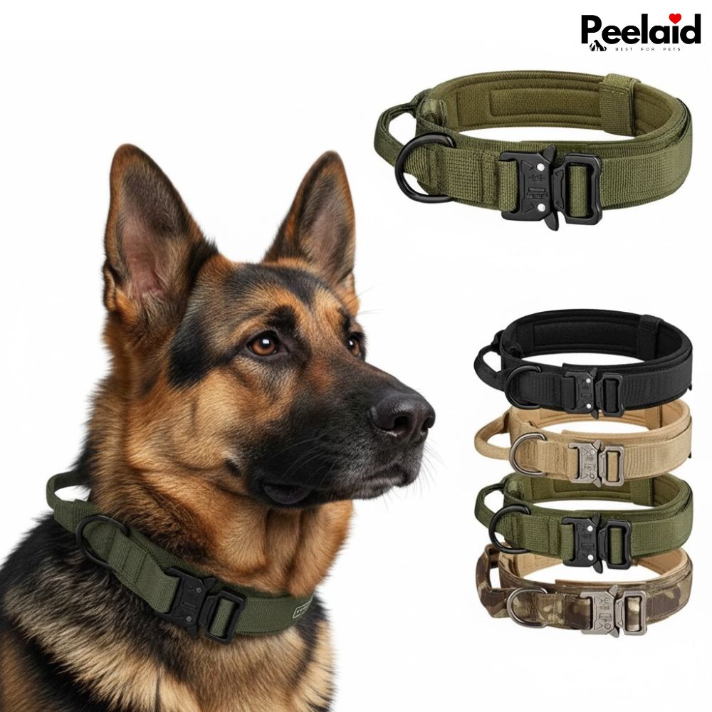 Tactical Nylon Dog Collar with Metal Buckle