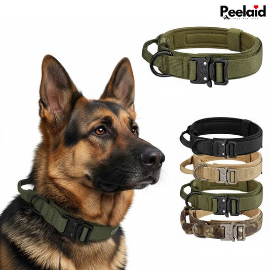 Tactical Nylon Dog Collar with Metal Buckle