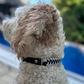 Fishtail Hand Braided Dog Collar in Black & Smoke