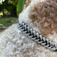 Fishtail Hand Braided Dog Collar in Black & Smoke