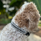 Fishtail Hand Braided Dog Collar in Black & Smoke