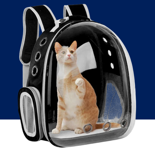 Space Capsule Pet Backpack – Ventilated Travel Carrier