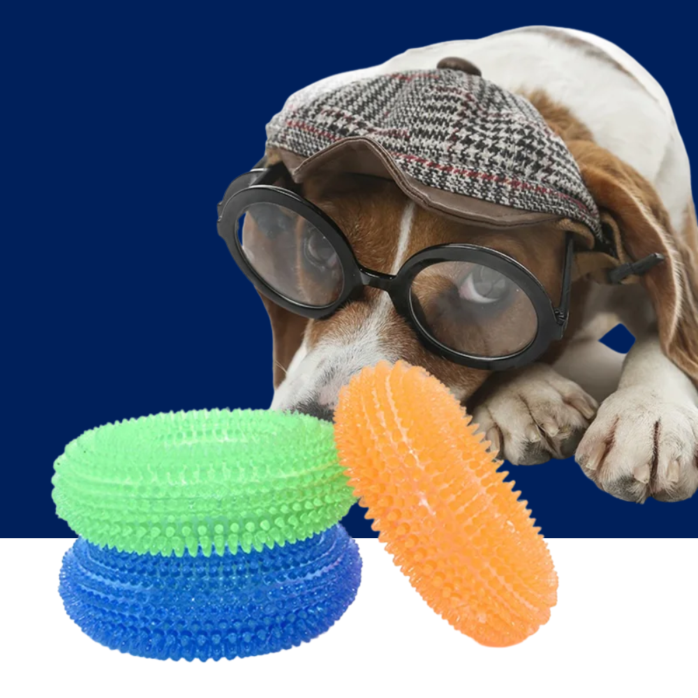 Squeaky Dog Chew Toy Best Super Chewer Durable Pet Toy