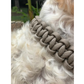 Cobra Braid in Tan - Handmade Dog Collar
