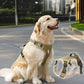 Adjustable Reflective Pet Harness