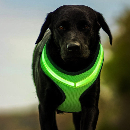 LED Luminous Dog Harness USB Charging Reflective Vest for Large Puppies