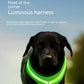LED Luminous Dog Harness USB Charging Reflective Vest for Large Puppies