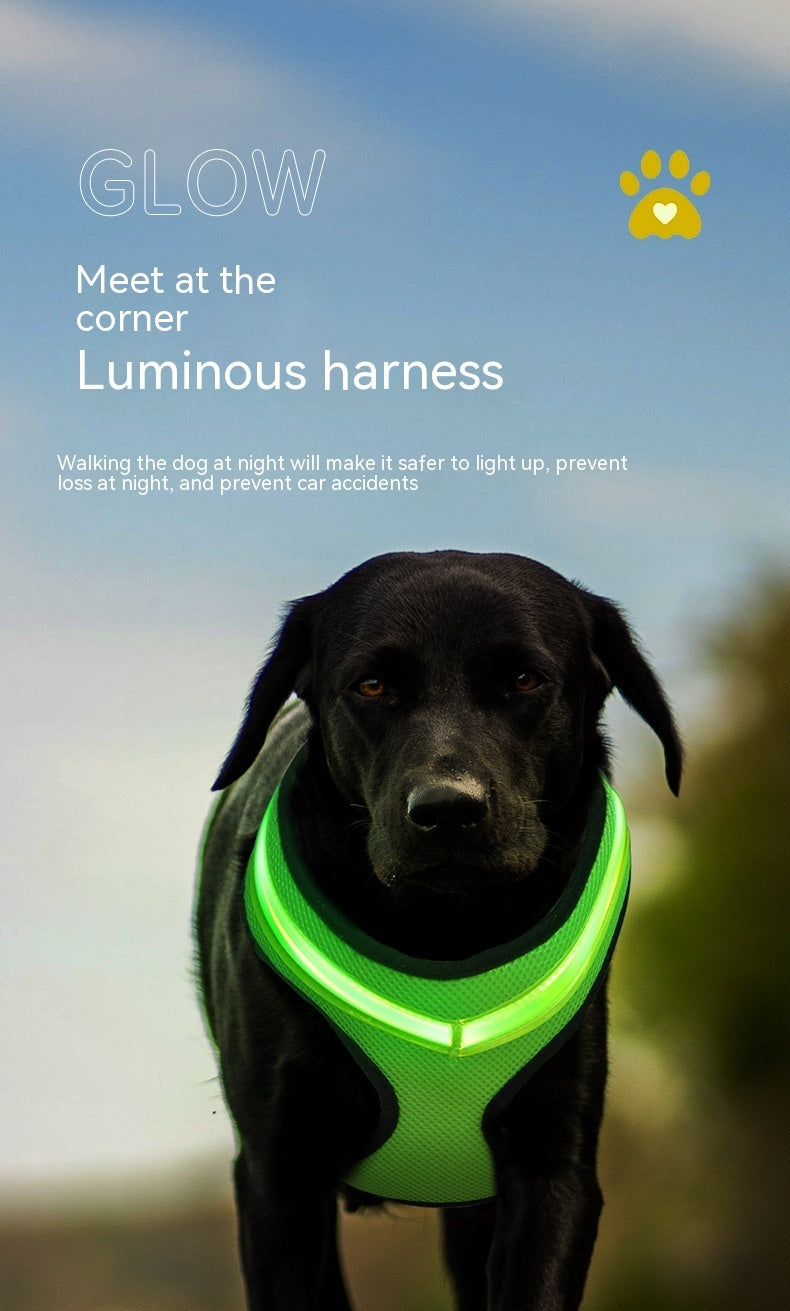 LED Luminous Dog Harness USB Charging Reflective Vest for Large Puppies