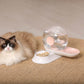 Auto-Myst Automatic Gravity Pet Water Dispenser Filtered Food Bowl 2.8L