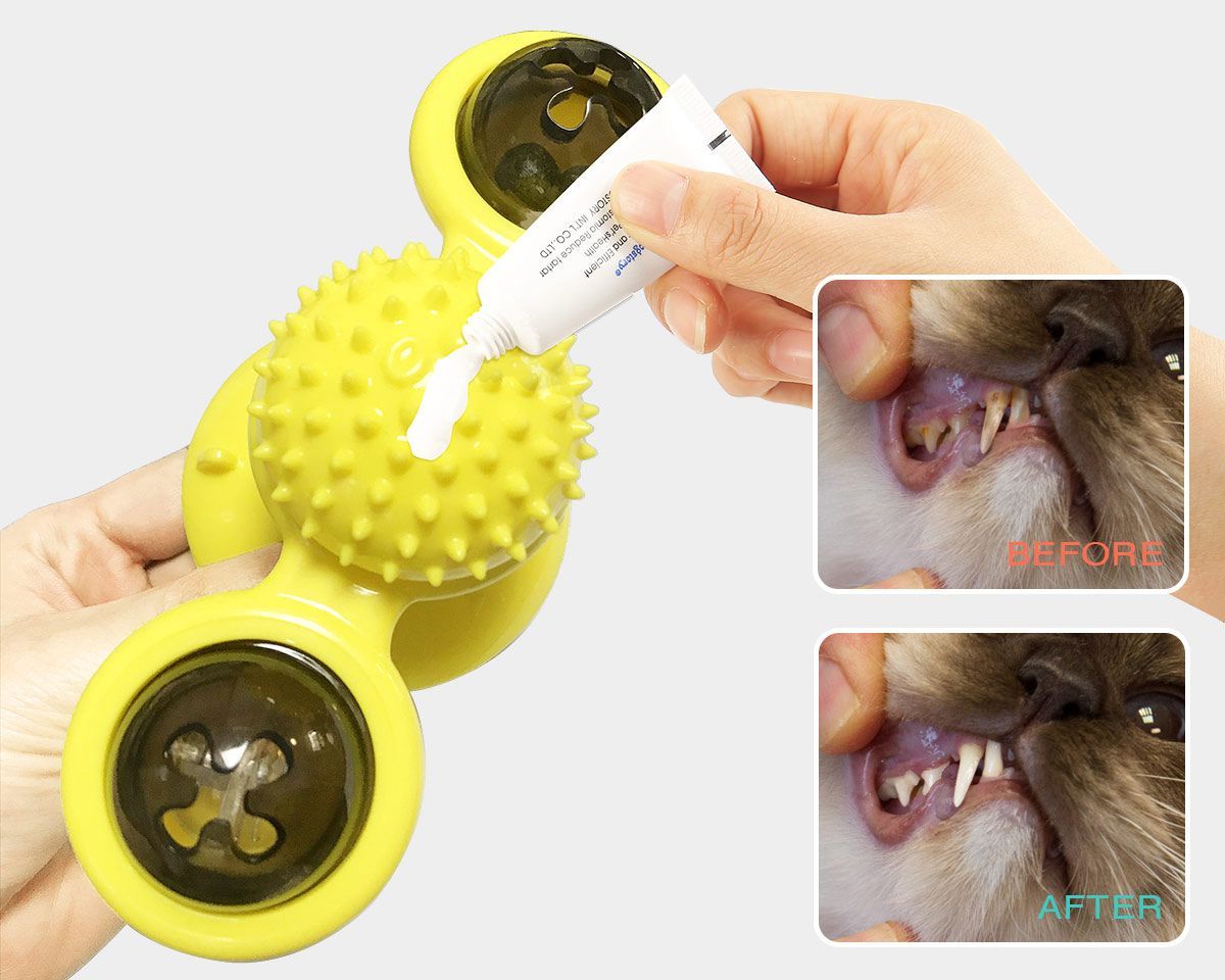 'Windmill' Rotating Suction Cup Spinning Cat Toy